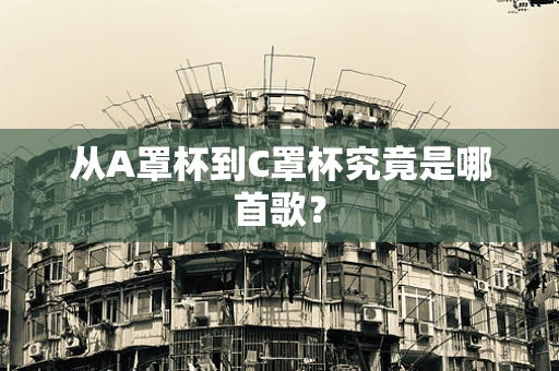 从A罩杯到C罩杯究竟是哪首歌？