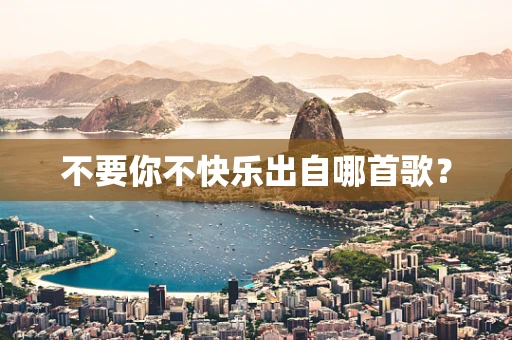 不要你不快乐出自哪首歌？