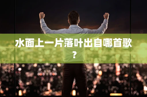 水面上一片落叶出自哪首歌？