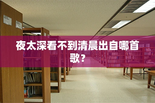 夜太深看不到清晨出自哪首歌？