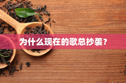 为什么现在的歌总抄袭？