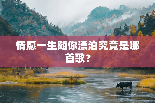 情愿一生随你漂泊究竟是哪首歌？
