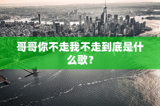 哥哥你不走我不走到底是什么歌？