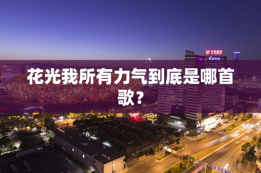花光我所有力气到底是哪首歌？