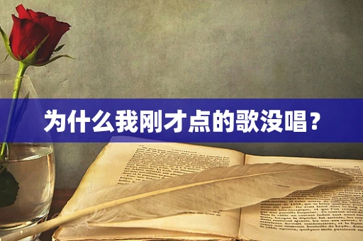 为什么我刚才点的歌没唱？