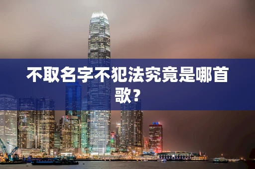 不取名字不犯法究竟是哪首歌？
