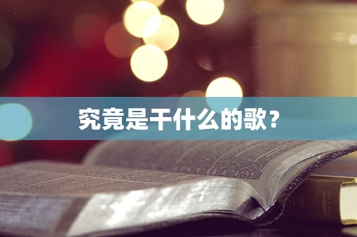 究竟是干什么的歌？