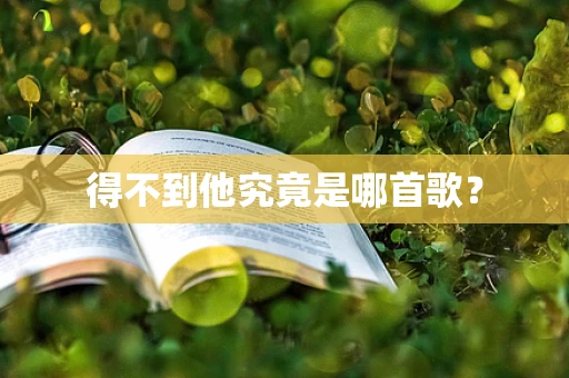 得不到他究竟是哪首歌？