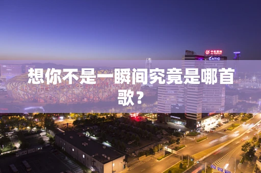 想你不是一瞬间究竟是哪首歌？