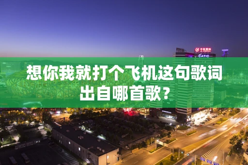 想你我就打个飞机这句歌词出自哪首歌？