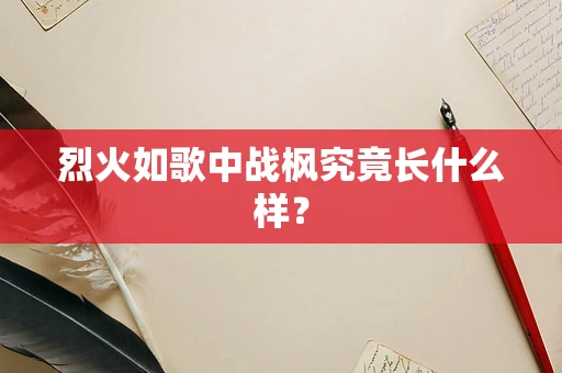 烈火如歌中战枫究竟长什么样？