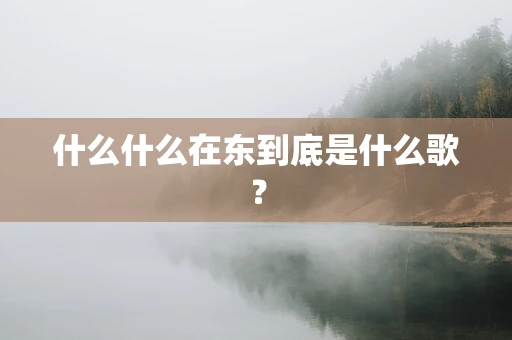 什么什么在东到底是什么歌？