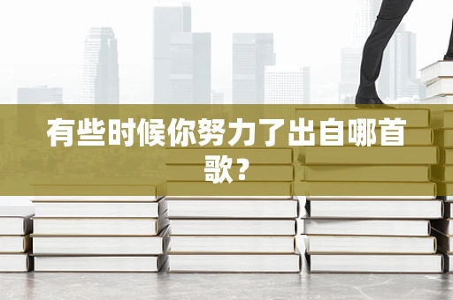 有些时候你努力了出自哪首歌？