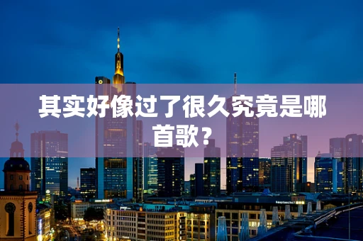其实好像过了很久究竟是哪首歌？