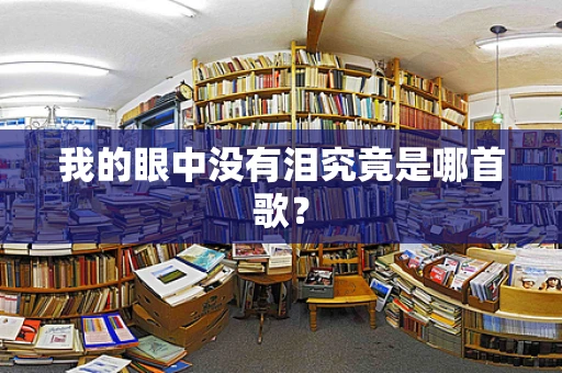 我的眼中没有泪究竟是哪首歌？