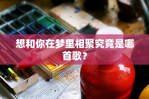 想和你在梦里相聚究竟是哪首歌？