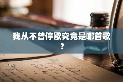 我从不曾停歇究竟是哪首歌？