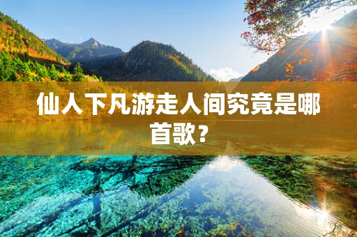 仙人下凡游走人间究竟是哪首歌？