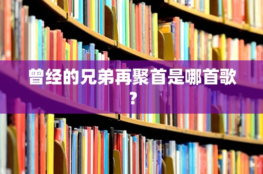 曾经的兄弟再聚首是哪首歌？