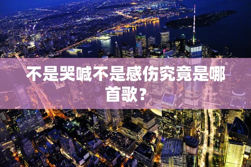 不是哭喊不是感伤究竟是哪首歌？