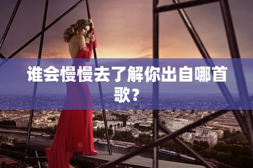 谁会慢慢去了解你出自哪首歌？