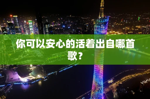 你可以安心的活着出自哪首歌？
