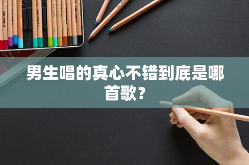 男生唱的真心不错到底是哪首歌？