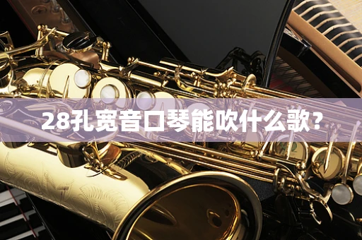 28孔宽音口琴能吹什么歌？