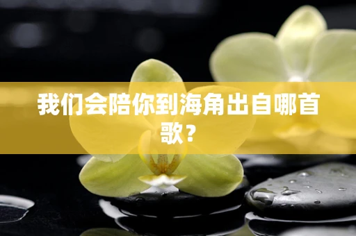 我们会陪你到海角出自哪首歌？