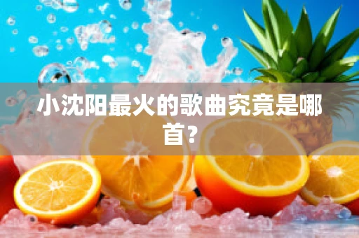 小沈阳最火的歌曲究竟是哪首？
