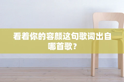 看着你的容颜这句歌词出自哪首歌？
