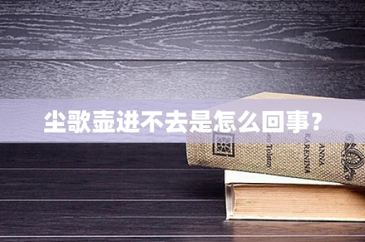 尘歌壶进不去是怎么回事？