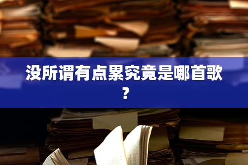 没所谓有点累究竟是哪首歌？