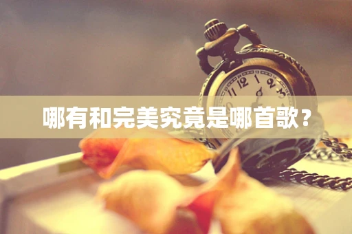 哪有和完美究竟是哪首歌？