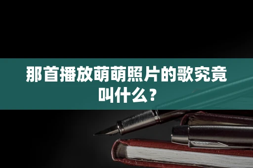 那首播放萌萌照片的歌究竟叫什么？