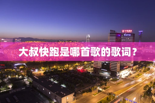 大叔快跑是哪首歌的歌词？