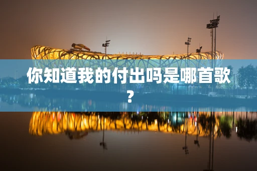 你知道我的付出吗是哪首歌？