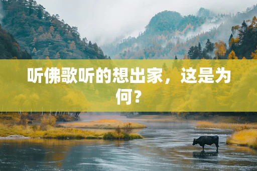 听佛歌听的想出家，这是为何？