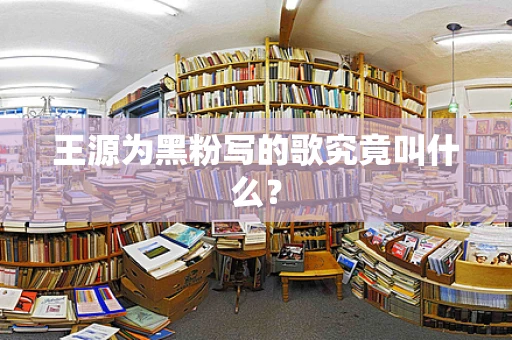 王源为黑粉写的歌究竟叫什么？