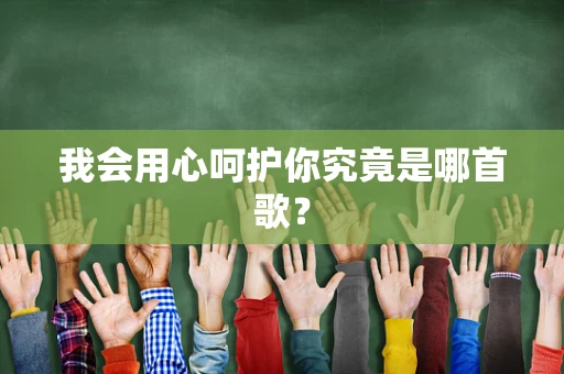 我会用心呵护你究竟是哪首歌？