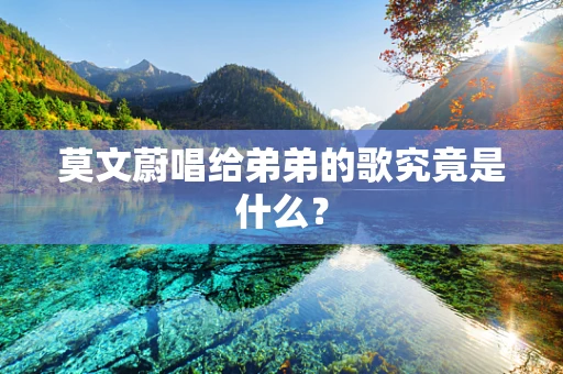 莫文蔚唱给弟弟的歌究竟是什么？