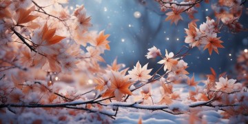那年枫花和雪月究竟是哪首歌？