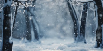 雪花飞是哪首歌？